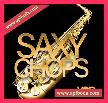 [爵士蓝调现场萨克斯切片采样]Big Citi Loops Saxy Chops [WAV]（68Mb）