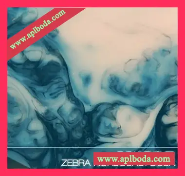 [Zebra预置影视]The Unfinished Zebra Nordsund Dusk Dark Edition（4Mb）