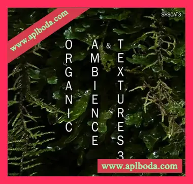 [环境氛围纹理FX采样]ShamanStems Organic Ambience and Textures 3 [WAV]（1.54Gb）