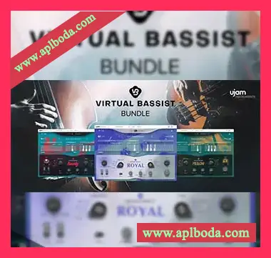 [虚拟贝斯手系列插件]UJAM Virtual Bassists Bundle v1.0.1 [WiN]（47Mb）