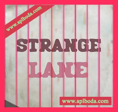 [嘻哈说唱采样]Strangesol Music Strange Lane [WAV]（226Mb）