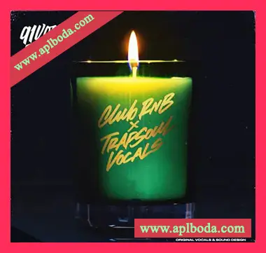 [灵魂RnB人声采样]91Vocals Club RnB x Trapsoul Vocals [WAV]（742Mb）