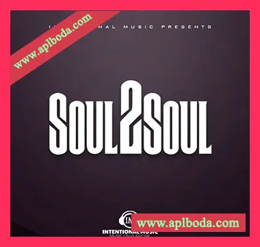 [灵魂RnB采样]Big Citi Loops SOUL2SOUL [WAV]（166Mb）