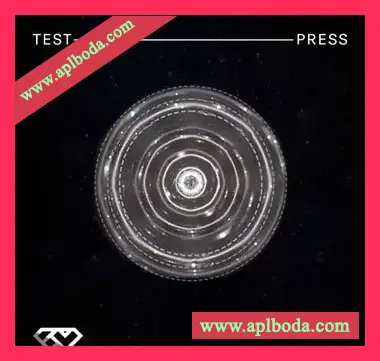 [Grime嘻哈素材Astra预置]Test Press Flowdan Presents Skyline Grime [WAV, MiDi]（628Mb）