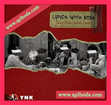 [嘻哈陷阱采样]YnK Audio Lunch With Sosa Dark Trap Guitar Loops [WAV]（63Mb）