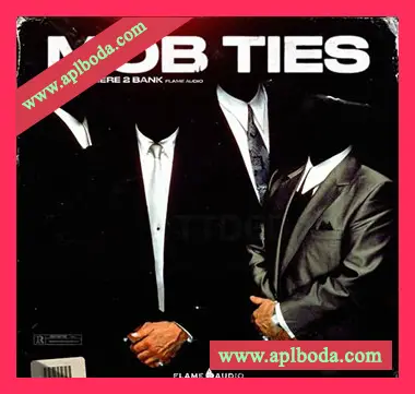 [Omnisphere预置嘻哈陷阱]Flame Audio Mob Ties（8Mb）