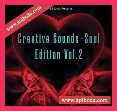 [灵魂RnB采样]HOOKSHOW Creative Sounds-Soul Edition Vol.2 [WAV]（18Mb）