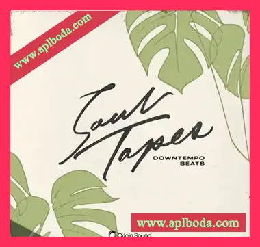 [灵魂RnB慢摇采样]Origin Sound Soul Tapes [WAV]（309Mb）