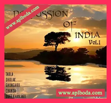 [印度打击乐采样音源]GBR Percussion Percussion Of India Vol.1 [WAV, REX, KONTAKT]（1.05Gb）