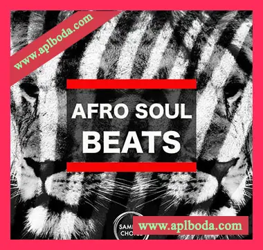 [灵魂非洲节奏采样]Samples Choice Afro Soul Beats [WAV]（325Mb）