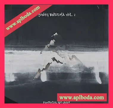 [ChillOut氛围驰放采样]Vinnyx Young Buddha Vol.2 [WAV]（557Mb）