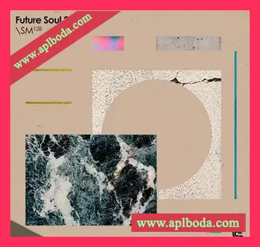 [灵魂浩室拉丁采样]Sample Magic Future Soul 2 [WAV]（1.03Gb）