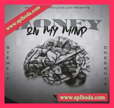 [Trap陷阱采样]Studio Trap Money On My Mind [WAV]（29Mb）