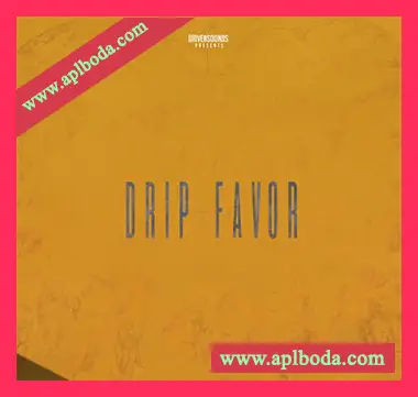 [嘻哈陷阱RnB采样]DRIVENSOUNDS DRIP FAVOR [WAV]（117Mb）