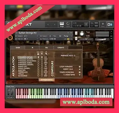 [苏丹弦乐]Sonokinetic Sultan Strings v1.3 [KONTAKT]（3Gb）