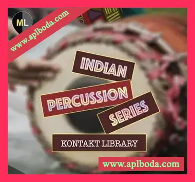 [印度打击乐音源]Mango Loops Indian Percussion Series [KONTAKT]（461Mb）