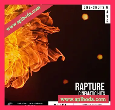 [影视乐音效采样]SonalSystem Rapture Cinematic Hits [WAV]（131Mb）