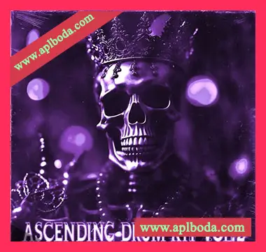 [嘻哈陷阱鼓组素材FL混音预置]SAOL Ascending Drum Kit Vol.2 [WAV, MiDi]（589Mb）
