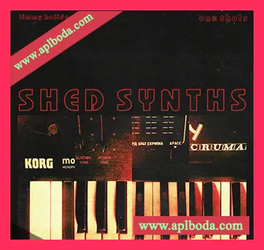 [怀旧乐采样]Timmy Holiday SHED SYNTHS (One Shot Kit) [WAV]（67Mb）