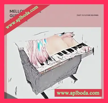 [低保真原声吉他采样音源]PastToFutureReverbs Mellow Drunk Guitar [KONTAKT]（39Mb）