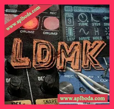 [电子乐采样]goldbaby LDMK [WAV]（76Mb）