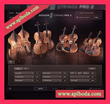 [弦乐音源]Native Instruments Session Strings Pro 2 v1.0.5 [KONTAKT]（36.83Gb）