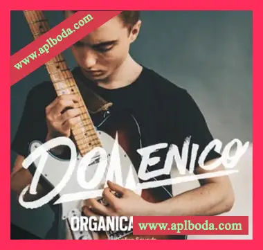 [RnB吉他采样]Splice Sounds DOMENICO Organica Guitar [WAV](394Mb)