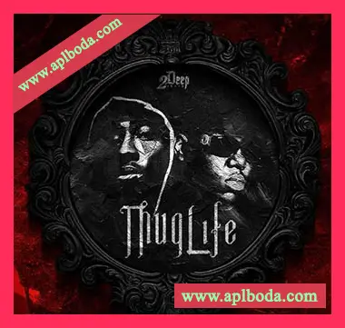 [嘻哈说唱采样]2DEEP Thug Life [WAV]（202Mb）