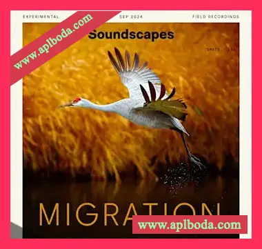 [影视乐采样]Splice Soundscapes Migration [WAV]（554.67Mb）