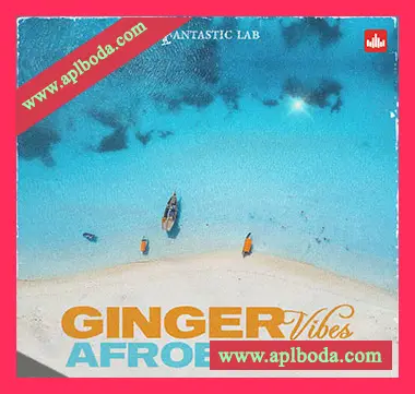 [部落浩室舞曲素材]Fantastic Lab Ginger Vibes Afrobeats [WAV, MiDi]（558Mb）