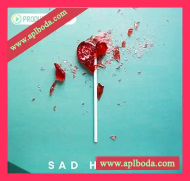 [House浩室素材]Producer Loops Sad House [WAV, MiDi]（316Mb）