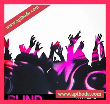 [EDM电子舞曲采样]Blind Audio Anthemic Future Rave [WAV]（183Mb）