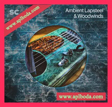 [环境氛围采样]Sonic Collective Ambient Lapsteel and Woodwinds [WAV]（467Mb）