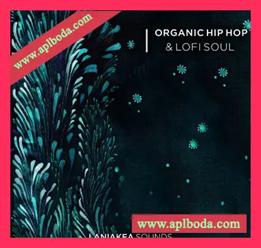 [低保真灵魂嘻哈RnB采样]Laniakea Sounds Organic Hip Hop And Lofi Soul [WAV]（477Mb）