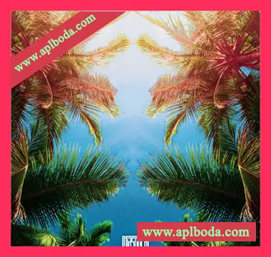 [拉丁雷鬼Dub鼓组采样]Diaspora Under The Sun Caribbean Drums [WAV]（203Mb）
