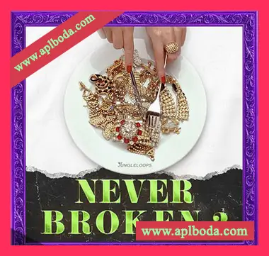 [嘻哈陷阱素材]Jungle Loops Never Broken 2 [WAV, MiDi]（128Mb）