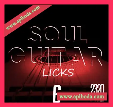 [灵魂RnB吉他采样]Tim TLee Waites Soul Guitar Licks 6 [WAV]（71Mb）