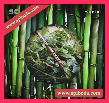 [印度竹笛班苏里笛采样]Sonic Collective Bansuri [WAV]（476Mb）