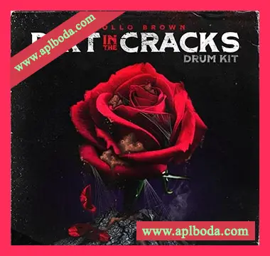 [嘻哈说唱鼓采样包]Apollo Brown Dirt in The Cracks Drum Kit [WAV]（18Mb）