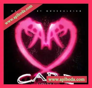 [浩室素材Serum预置]morecalcium CARE VOL. I MultiKit [WAV, MiDi]（69Mb）