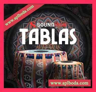 [南亚塔布拉双鼓音源]Soundiron Tablas v2.0 [KONTAKT]（2.18Gb）
