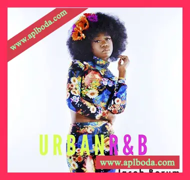 [都市RnB采样]Jacob Borum Urban R&B [WAV]（111Mb）