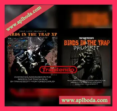 [嘻哈陷阱采样Icarus预置FL工程模板]Trap Camp Entertainment The Flock Bundle（20Mb）