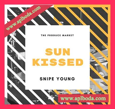 [灵魂RnB采样]Snipe Young SunKissed [WAV]（44Mb）