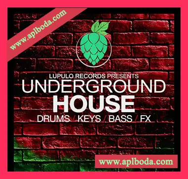 [浩室采样]Lupulo Records Underground House [WAV]（102Mb）