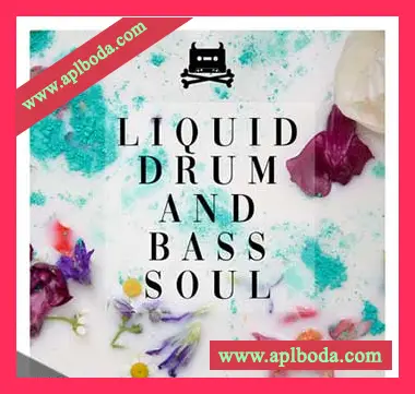 [灵魂DnB采样]Rankin Audio Liquid Drum And Bass Soul [WAV]（427Mb）