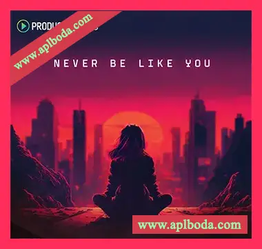 [TripHop素材]Producer Loops Never Be Like You [多格式]（1.69Gb）