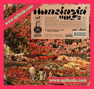 [灵魂嘻哈RnB人声切片采样]Minta Foundry Al Hug Anastazja Vocal Chop Vol.3 [WAV]（255Mb）