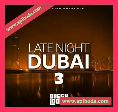 [灵魂RnB采样]Big Citi Loops Late Night Dubai 3 [WAV]（159Mb）