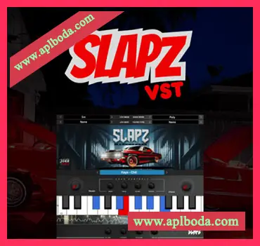 [现代西海岸嘻哈音色乐器插件]Diamond Loopz Slapz VST v1.0 [WiN, MacOSX]（70.5Mb）